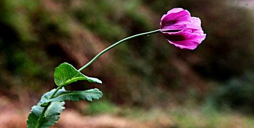 《冲就完事模拟器2》多平台发售 好评解压续作